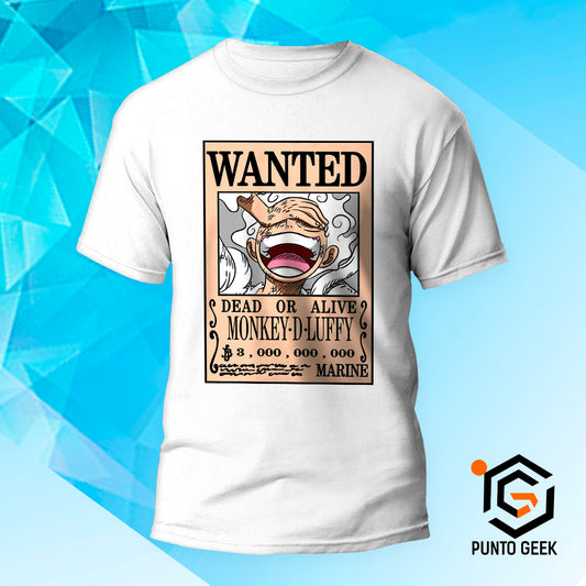 Luffy 01