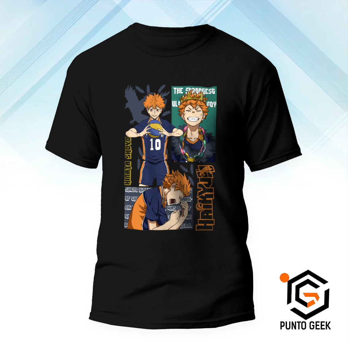 Shoyo Hinata 01