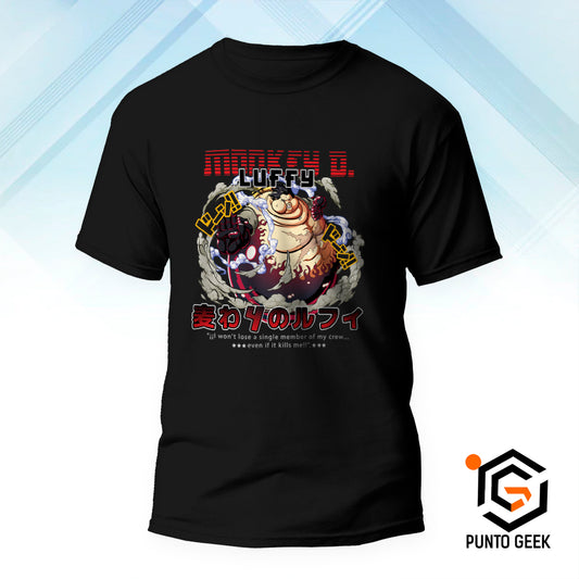 Luffy 14